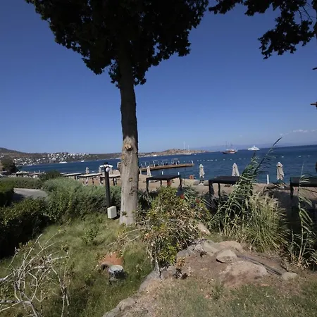 빌라 Splendid Near Beach In